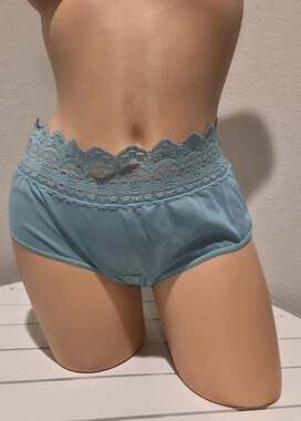 Olga Secret Hug Full Coverage Brief Panty Nylon Silky Hypersea Blue
